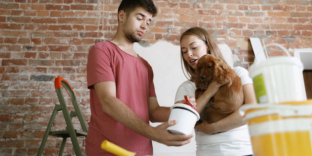 Why Paint Fumes Are Bad For Dogs And How To Keep Them Safe